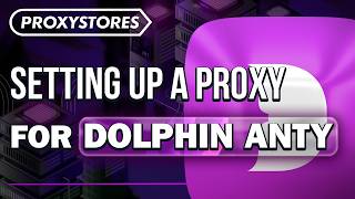 Guide How to Setup a Proxy in Dolphin Anty | ProxyStores