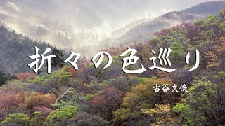 折々の色巡り【4K】 - 古谷文俊