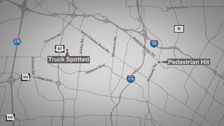 Driver detained in deadly hit-and-run crash