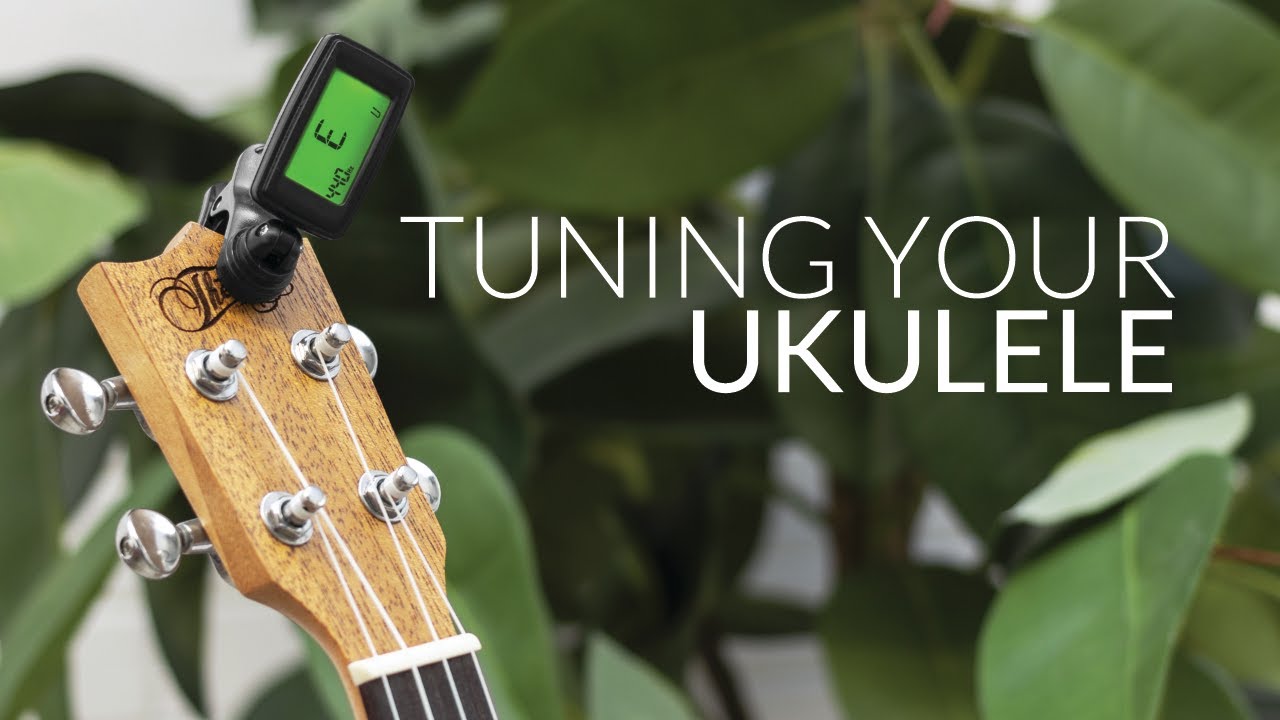 How To Tune Your Ukulele! (Beginners Guide) - YouTube