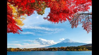 紅葉　福井県　西山公園