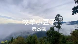 【露營區-牧羊小豆子】新竹五峰