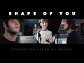Ed Sheeran - Shape Of You (Tyler & Ryan ft. Jannine Weigel)