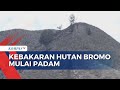 Karhutla di Bukit Teletubbies Bromo Berhasil Dikendalikan, Api Berangsur Padam