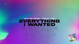 Umur Anil Gokdag, TwoRule feat. Liwia - Everything I Wanted