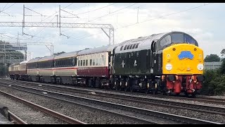 D213 'Andania', WHISTLES in and ROARS away !!! Chelford loop. 25th August 2023