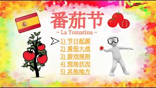 西班牙西红柿节 番茄大战｜番茄节 La Tomatina 西班牙布尼奥尔｜ 传统节日 8月的最后一个星期三