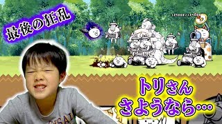 【にゃんこ大戦争】小学生が挑む！超激ムズ狂乱シリーズ最後の敵は…トリ！ボコボコにやられても負けない！【ロボットゲームズ】