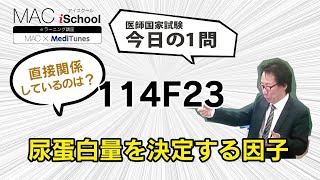 114F23 動画で学ぶ医師国試（MAC）尿蛋白量を決定する因子（今日の1問）