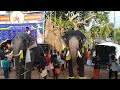 pambadi rajan u0026 mangalamkunnu karnan entry chellamangalam temple 2017