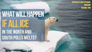 What Will Happen If All Ice in The North and South Poles Melts?