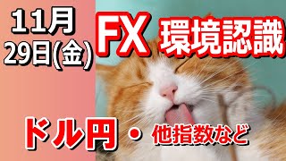 【TAKA FX】ドル円他各通貨の環境認識解説。各種指数、GOLDなど　11月29日(金)