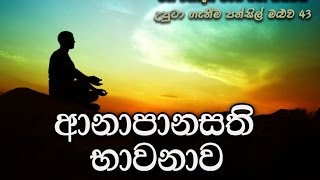 අානාපානසති භාවනාව...Maha Rahathun Wadi Maga Osse...