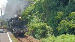 大井川鐵道🚂SL C11形 190号機🚆急行 千頭 行き🚃神尾駅通過🚃💨