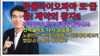 [돌파매매 노광민] 이번에 한올바이오파마 또 급등!