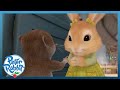 @OfficialPeterRabbit - 🤪🥰 Cottontail and Shrew Have Fun! 🥰🤪 | Cartoons for Kids