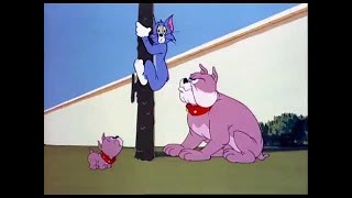 ᴴᴰ Tom and Jerry, Episode 76 - That's My Pup [1952] - P3/3 | TAJC | Duge Mite