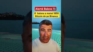 Alertă 🚨 Balene 🐋 1850 de bitcoin mutați de o balena din binance !