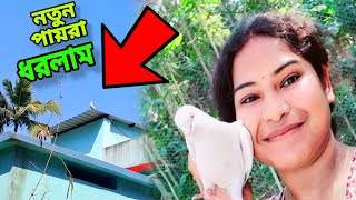 অচেনা পায়রা এসেছে আজ আমার কলোনিতে🥰 || My Caloni Vlog- #pets #birdsvlog #petsvlog #newvlog