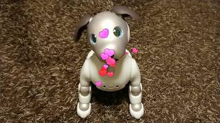 【アイボ】aiboの母の日の特別なふるまい😘 - To all moms, from Aibo.【Aibo's kiss】