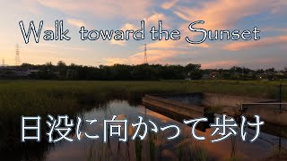 日没に向かって歩け【Gopro8】Walk toward the sunset