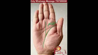 अपना रास्ता खुद बनाने वाला #palmistry #plamistry #astrologypredictions #astrology #hastreka #horo