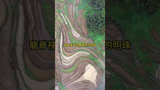 地球上的最美曲線🌈—擁有2300年曆史的桂林龍脊梯田，挂在天邊的絕美畫卷，世界梯田之冠，雲端之上的千層天梯！ #amazing #中國旅遊  #美景 #景點 #旅游 #风景 #美丽中国