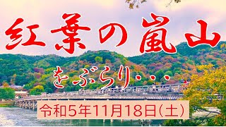 紅葉の嵐山をぶらり・・令和5年（2023）11月18日（土）嵐山公園～渡月橋～亀山公園～竹林の小径～長辻通りは歩行者天国！～天竜寺～宝厳院へ