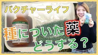 【バクチャーライフ】無農薬で育てたいのに…　買った種に薬がついていた。そんなとき、私たちはこう植えます。