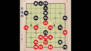 所有人都以为要和棋，王天一却认输了？ #象棋 #王天一 #郑惟桐