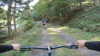 マウンテンバイクで林道走るとこんな感じです。This is what it's like to go downhill in the woods on a MTB!