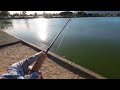 2024 11 06 中鱼时刻 fishing highlights