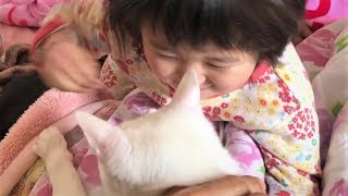 神猫さんとにらめっこ　【猫さんとヒメちゃんはお友達】