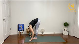 LaPoseYoga Vinyasa Flow Heart Openers