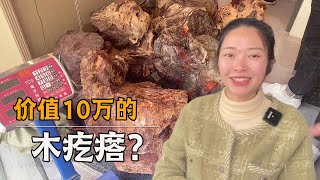 11万买了一个木头疙瘩？表皮能见极品雀眼瘤，开出来会是啥样【土家瑶妹】