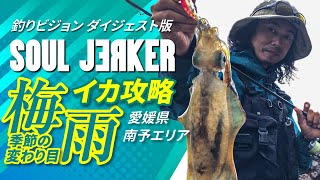 SOUL JERKER＃10 愛媛県・南部エリア ～ローライト×雨 季節の変わり目 梅雨時期のアオリイカを狙う～