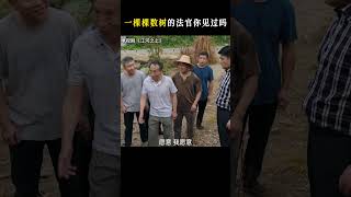 一棵棵数树的法官见过吗？ 村民土地被砂轮厂排污污染 环资庭法官现场一棵棵数树确认损失数量 #江河之上 #陈数 #shorts #高伟光说明