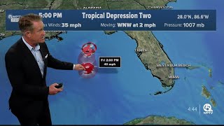 Tropical Depression 2 forms in Gulf of Mexico