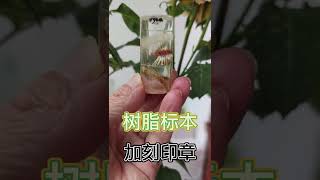 树脂标本，加刻印章