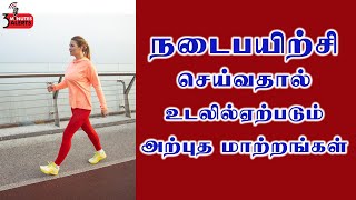 நடைபயிற்சி செய்வதால் உடலில் ஏற்படும் மாற்றங்கள் /BENEFITS OF WALKING /HEALTH TIPS /3MINUTES ALERTS