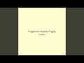 Fragments Serene Fragile