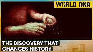 Oldest Human Fire: Scientists Uncovers Mystery Of Fire | World DNA News