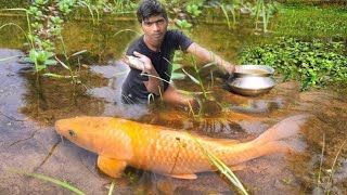 Releasing Fish In Pond | Fishing 🎣 | Primitive Survival | Primitive Technology #fishing #nature