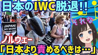 【海外の反応】驚愕!!ノルウェーの捕鯨の疑問「なぜ日本ばかり責めるんだ！」IUCN国際自然保護連合を外国人が知らなかった真実に様々な声!お隣さんは日本の４倍の世界1位捕鯨大国 【IWC脱退】