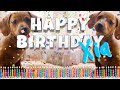 happy birthday xia funny talking dogs what is free on my birthday