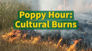 Poppy Hour: Cultural Burns with Richard Bugbee