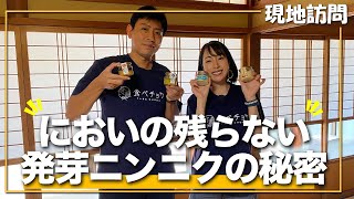 【訪問】発芽にんにく本来の味を楽しんでほしい！kimataファームさん①