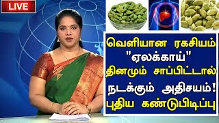 ஏலக்காய் தினமும் சாப்பிட்டால் நடக்கும் அதிசயம்! |Benefits of Cardamom in Tamil|Health Tips in Tamil