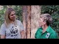 🌳 What can we do to save Australia's trees? With Model Sam Harris | WWF-Australia