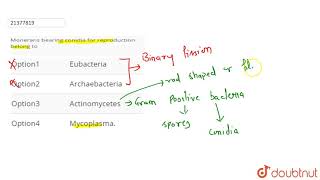 Monerans bearing conidia for reproduction belong to | 12 | KINGDOM MONERA (THE PROKARYOTES) | BI...